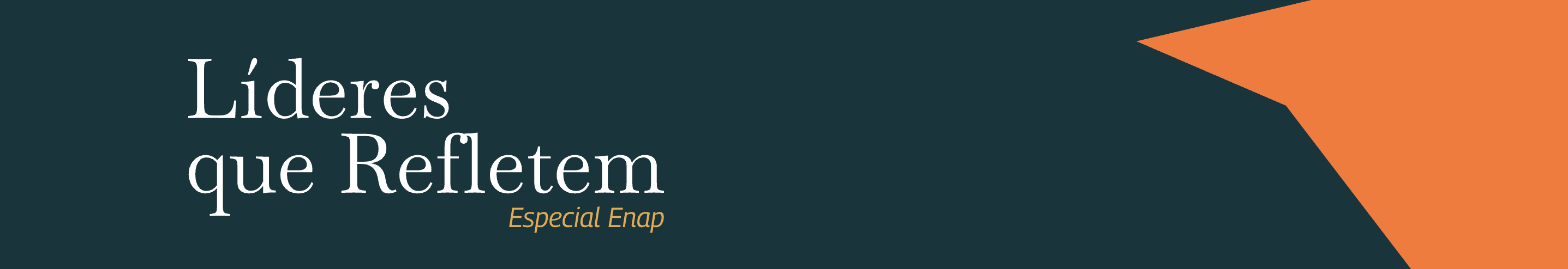 “A Enap será um espaço importante de formulação para ajudar organizações a lidar com os desafios da IA”, afirma diretora de inovação