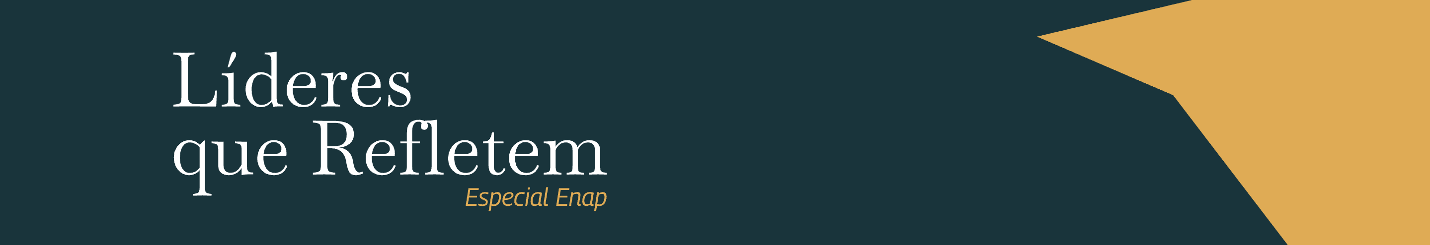 “O serviço público é um dos pilares do Estado democrático de direito”, diz diretor da DAE