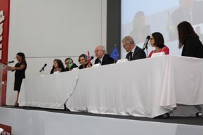 IMG_8271_-_Copia.JPG.jpg