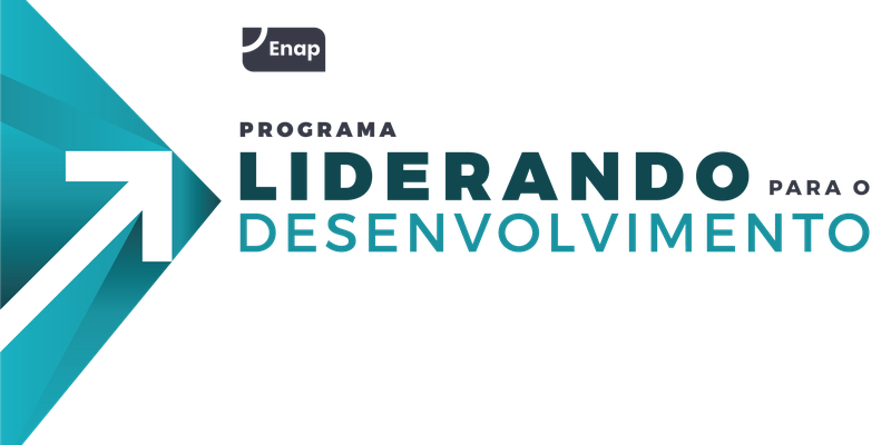 Logo_Programa_Liderando-para-o-Desenvolvimento_Paleta_Enap2.png