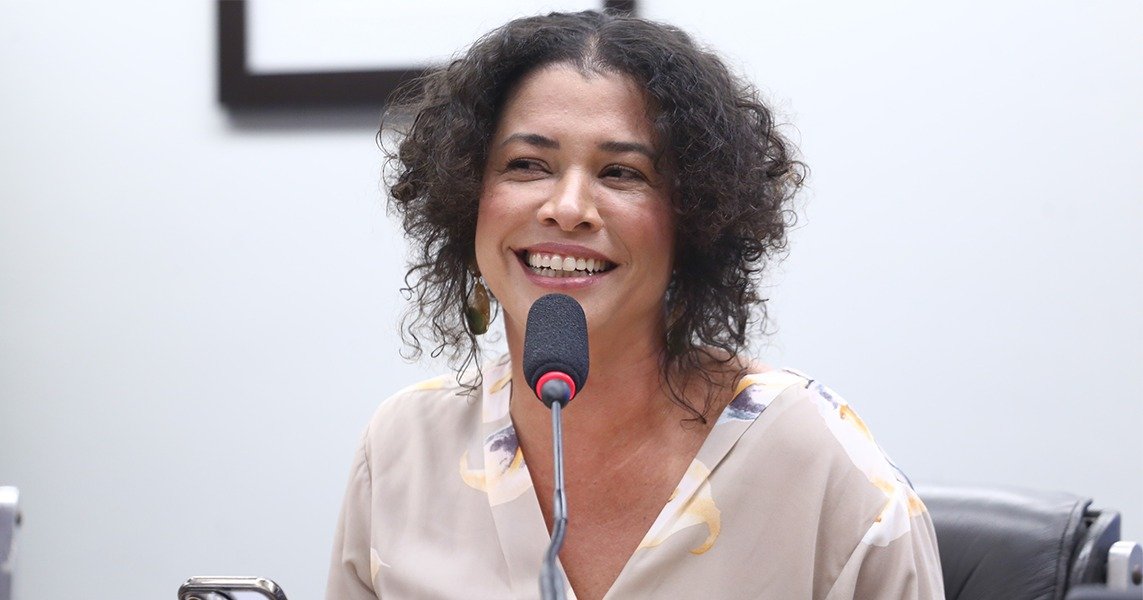 Enap debate uso da inteligência artificial da Administração Pública em audiência na Câmara