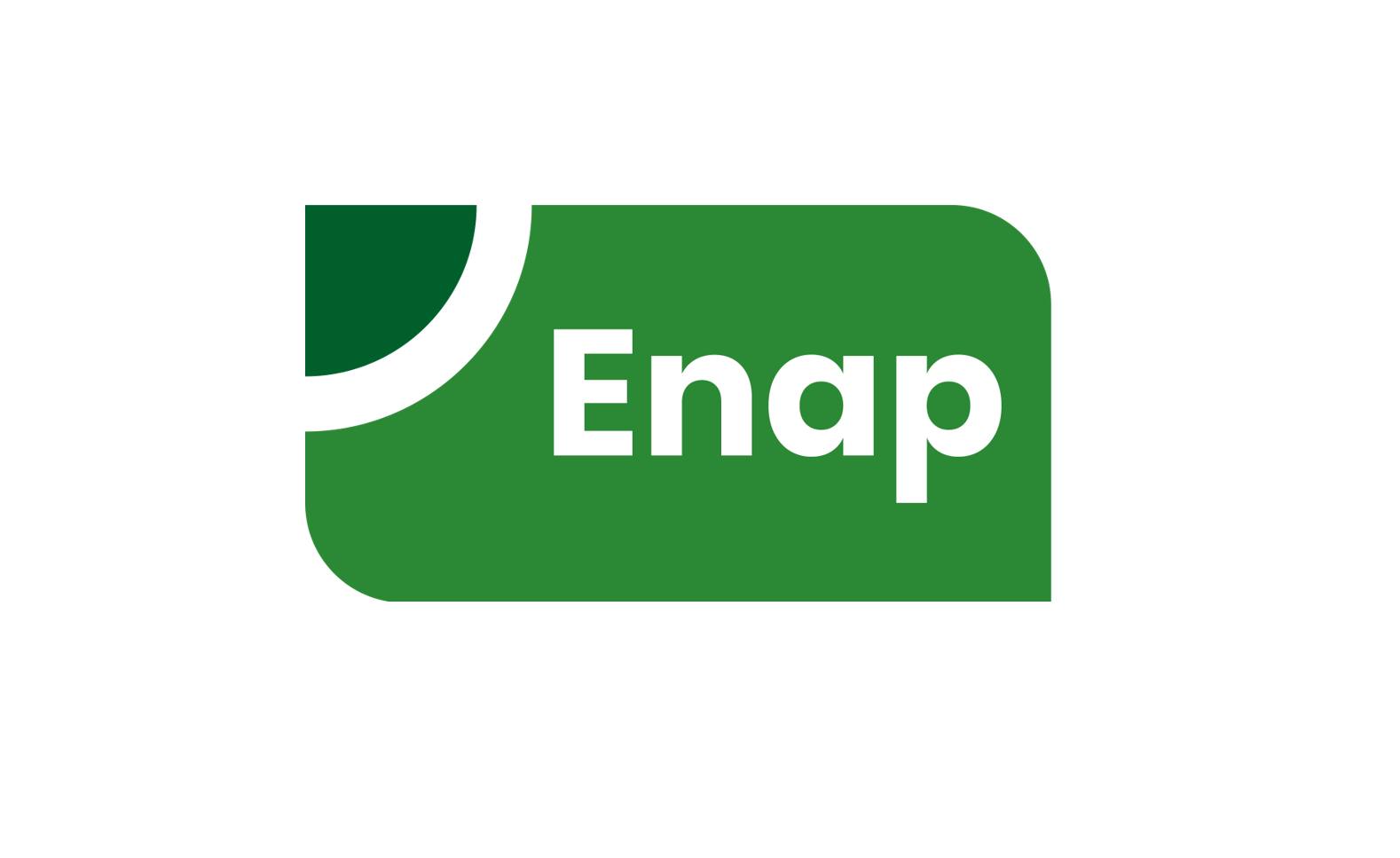 Conheça a nova marca da Enap - Enap - Escola Nacional de Administração  Pública