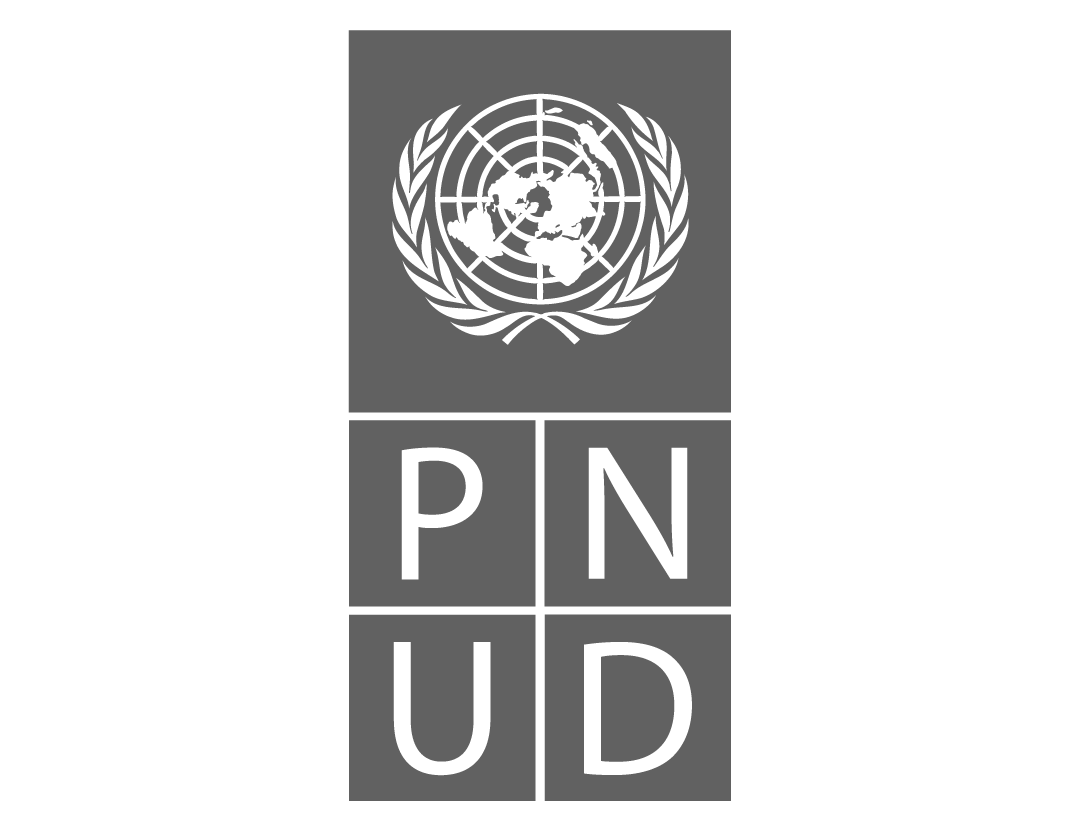 Pnud